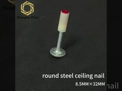 round steel ceiling nail 1