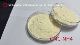 CMC-NH4 Manufacturer | Ammonium Carboxymethyl Cellulose Supplier From China
